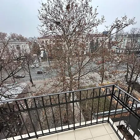 Apartment In Center Of *